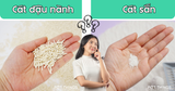 So Sánh Cát Đậu Nành Và Cát Sắn Vệ Sinh Cho Mèo, Loại Nào Tốt Hơn?