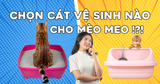 Cát vệ sinh cho mèo có bao nhiêu loại? Cách chọn cát vệ sinh phù hợp với mèo của bạn