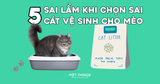 5 sai lầm thường gặp khi chọn sai cát vệ sinh cho mèo