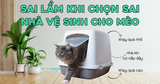 Mèo 