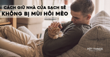 Làm sao để giữ nhà cửa sạch sẽ không bị mùi hôi mèo?