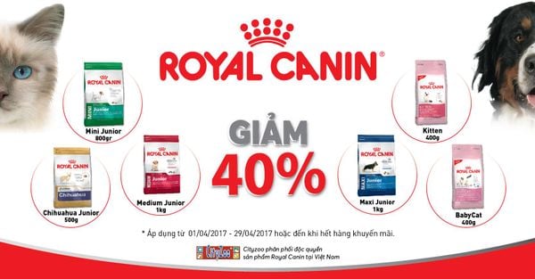THỨC ĂN ROYAL CANIN (PHÁP) GIẢM GIÁ 40%