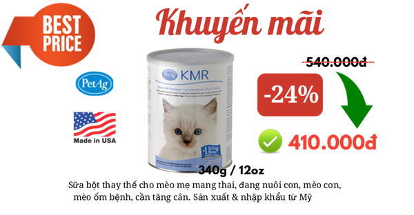 SỮA BỘT CHO MÈO KMR 340G GIÁ TỐT CHỈ CÒN 410.000Đ