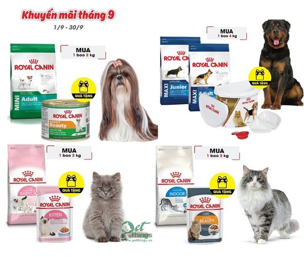 ROYAL CANIN KHUYẾN MÃI THÁNG 09/2017