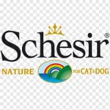 Schesir