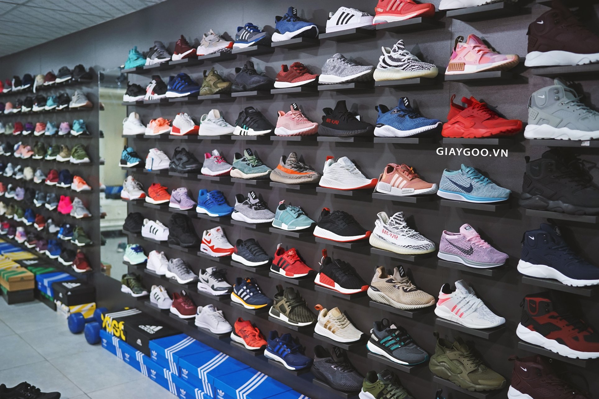 shop giày thể thao adidas