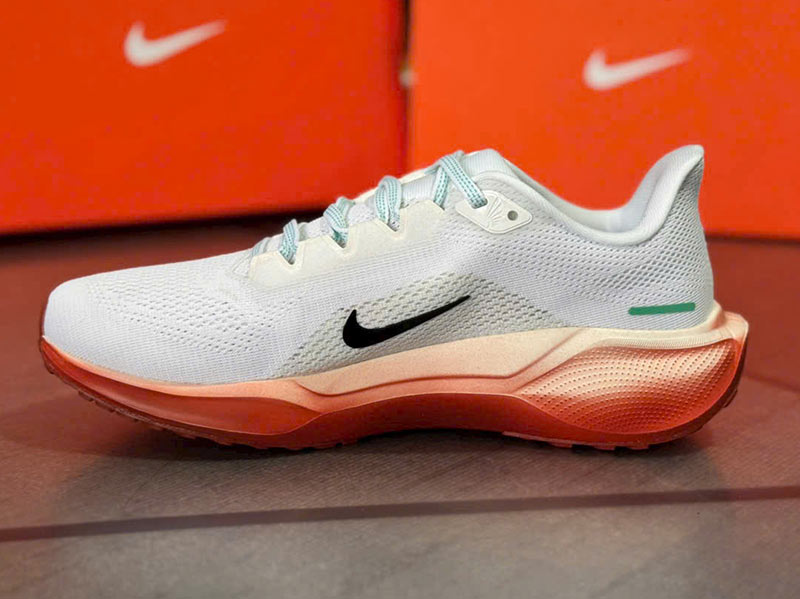 eliud kipchoge pegasus turbo