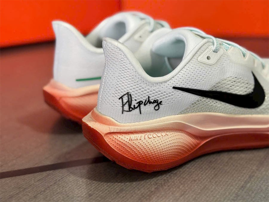 Nike Pegasus 41 X Eliud Kipchoge rep 11 like auth best quality