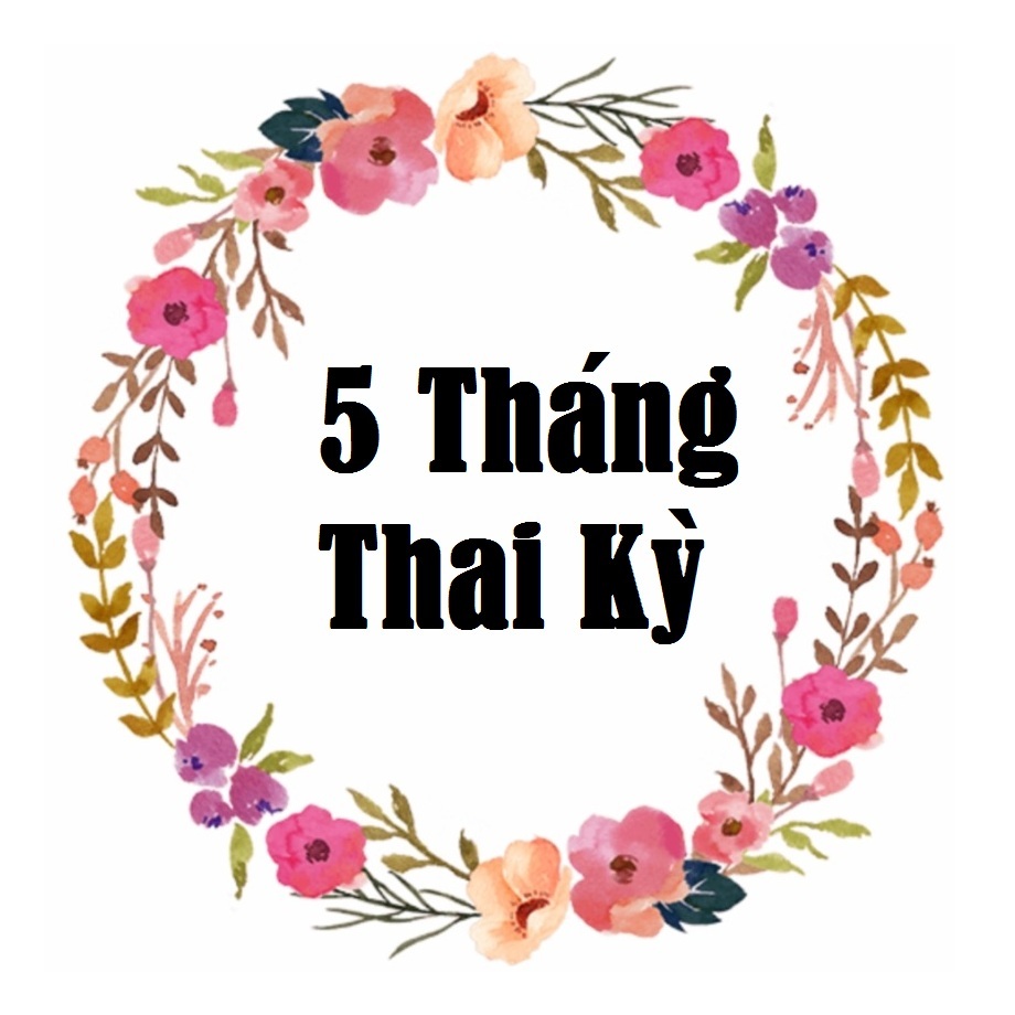 Tháng Thứ Năm Của Thai Kỳ