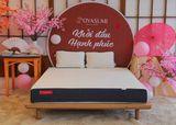 Đệm Nhật Bản Oyasumi 7 Zone sự lựa chọn tuyệt vời cho giấc ngủ gia đình Việt