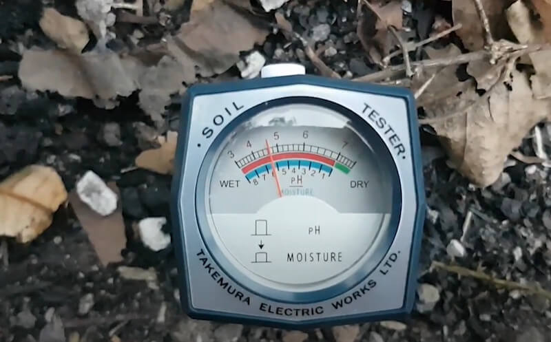 Cách đo pH đất nhanh chóng hiệu quả