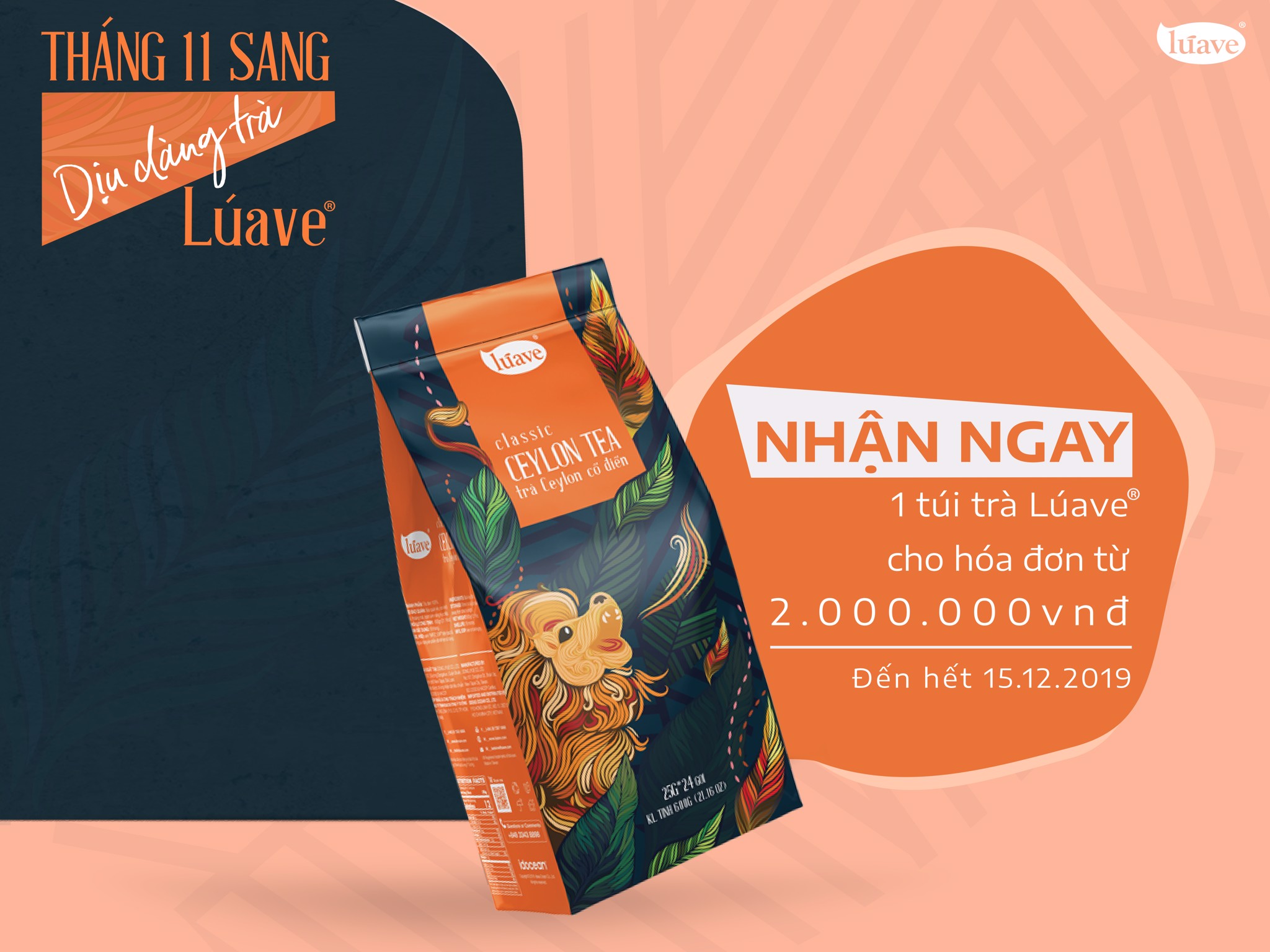 THÁNG 11 SANG - DỊU DÀNG TRÀ LÚAVE