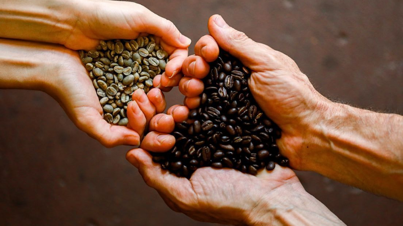 specialty coffee
