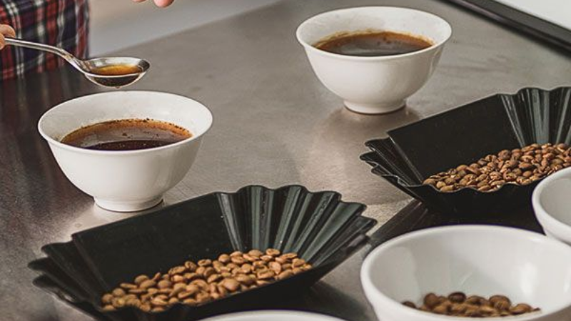 cupping cà phê