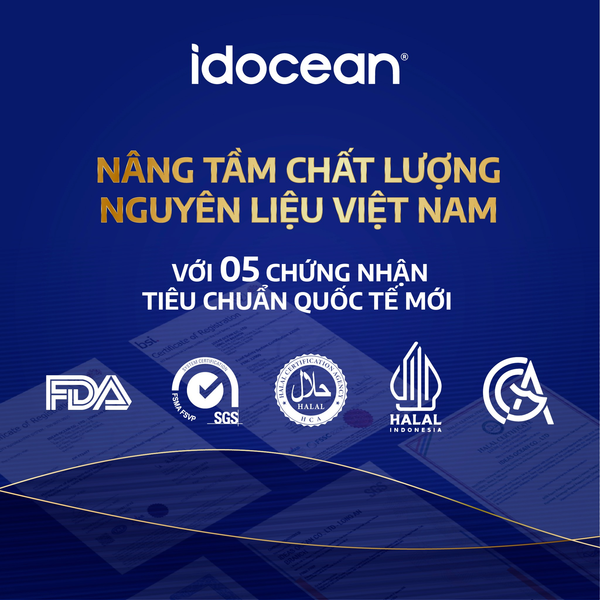 NHÀ MÁY IDOCEAN