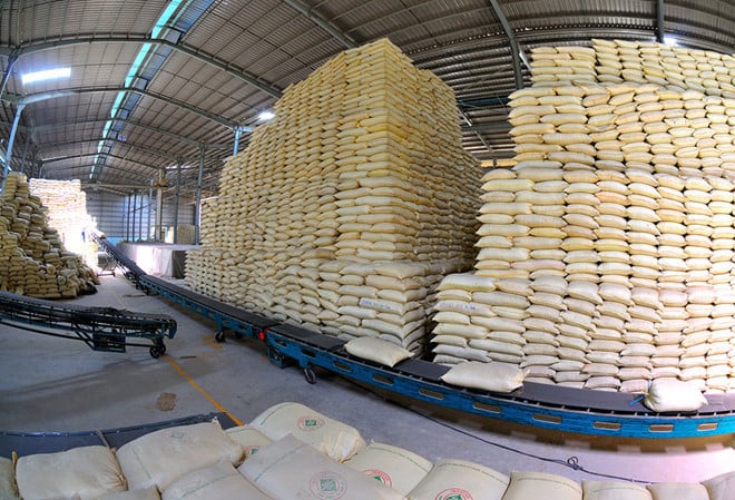 Giá gạo Việt Nam cao nhất trong vòng 1 năm