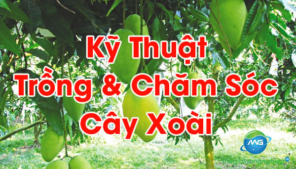 Khuyến mãi, tri ân khách hàng, bốc thăm- các cụm từ này sẽ khiến bạn tò mò muốn xem hình ảnh liên quan đến chúng. Hình ảnh sẽ cho bạn biết những phần thưởng, ưu đãi, quà tặng và cơ hội để nhận được sự tri ân từ các thương hiệu.