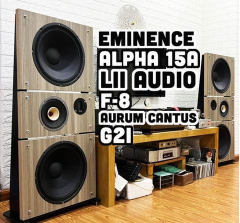 Thiết kế phân tần loa ván hở 3 way gồm 2x Eminence Alpha 15A, mid 20cm Lii Audio F-8 và loa treble Realistic