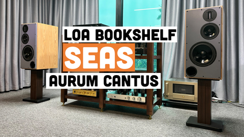 DIY loa bookshelf 3 way Seas CA22RNY, Seas CA15RLY, và siêu treble ribbon Aurum Cantus G2si