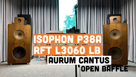 DIY loa ván hở 4 way Isophon P38A, RFT L3060 PB và siêu treble ribbon Aurum Cantus G3i
