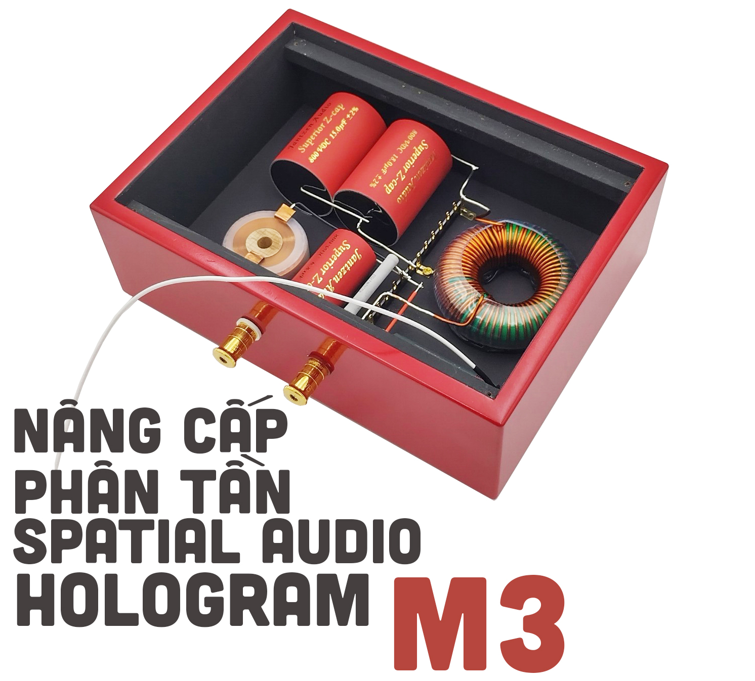 Nâng cấp phân tần loa ván hở Spatial Audio Hologram M3