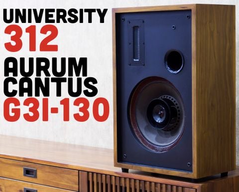 University 312 độ lại dải cao sử dụng siêu treble ribbon Aurum Cantus G3i-130