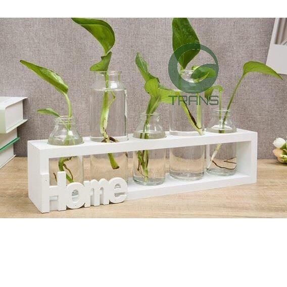 Bộ 5 lọ thủy tinh cắm hoa kèm kệ gỗ HOME