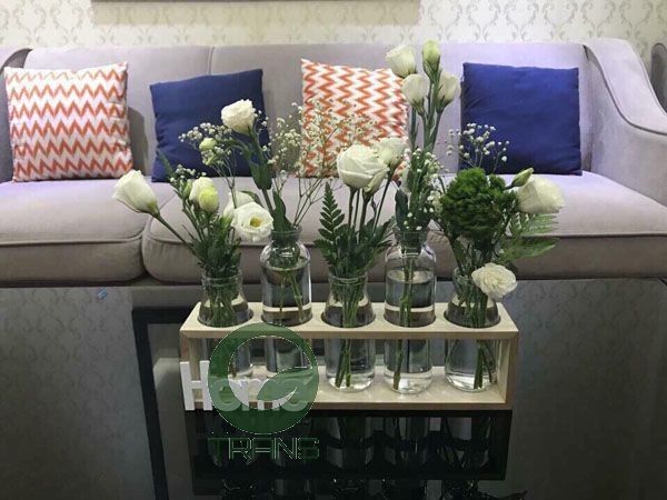 Bộ 5 lọ thủy tinh cắm hoa kèm kệ gỗ HOME