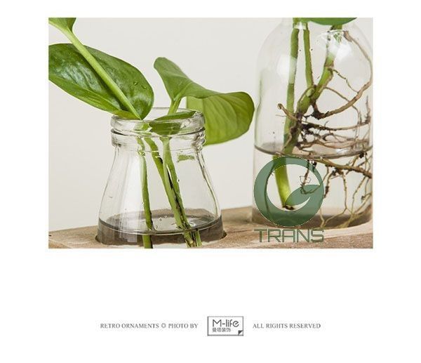 Bộ 5 lọ thủy tinh cắm hoa kèm kệ gỗ HOME