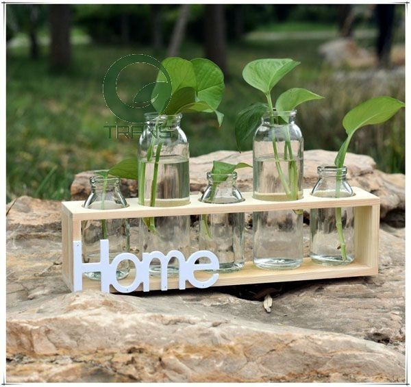 Bộ 5 lọ thủy tinh cắm hoa kèm kệ gỗ HOME