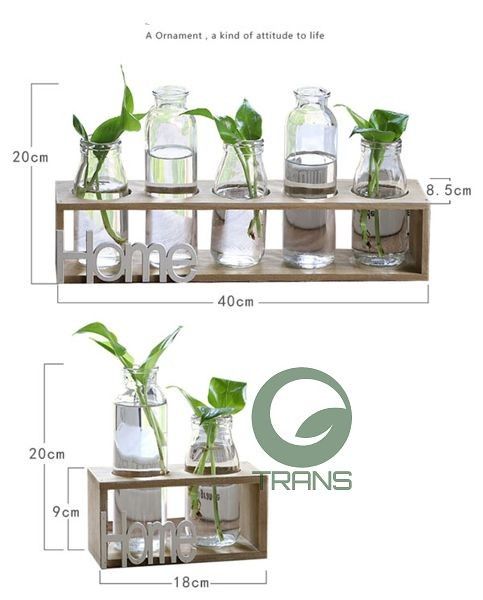 Bộ 5 lọ thủy tinh cắm hoa kèm kệ gỗ HOME