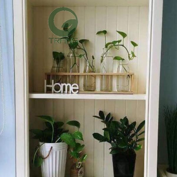 Bộ 5 lọ thủy tinh cắm hoa kèm kệ gỗ HOME