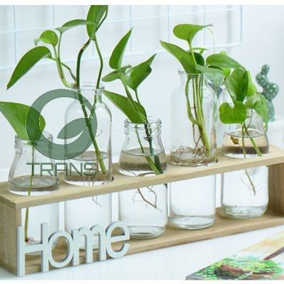 Bộ 5 lọ thủy tinh cắm hoa kèm kệ gỗ HOME
