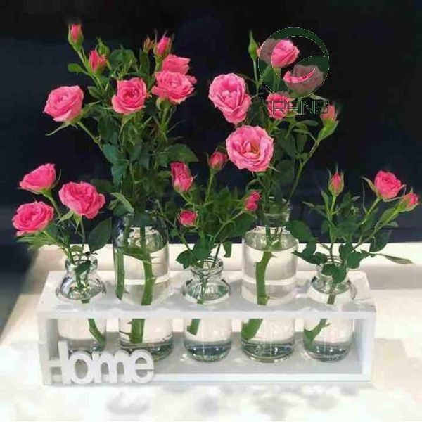Bộ 5 lọ thủy tinh cắm hoa kèm kệ gỗ HOME