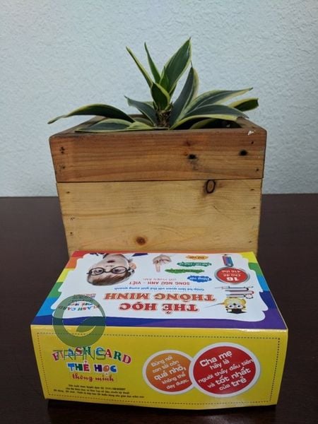 Bộ thẻ học thông minh, bộ thẻ học thông minh 12 chủ đề, thẻ học thông minh loại to, thẻ học thông minh bằng nhựa, bộ thẻ học thông minh loại to, thẻ học thông minh song ngữ, thẻ học thông minh cho bé từ 0-6 tuổi, thẻ học thông minh cho bé 1 tuổi, thẻ học thông minh , bộ thẻ học thông minh flashcard 416 thẻ 16 chủ đề,