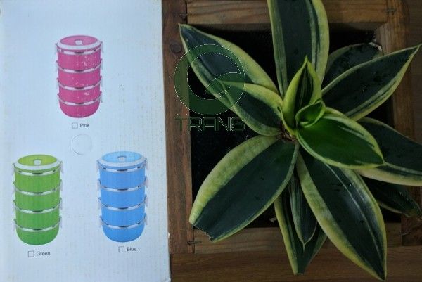 Cặp lồng giữ nhiệt ruột inox 4 tầng, Cặp lồng ruột inox, cà men hộp đựng cơm inox giữ nhiệt, hộp đựng cơm hàn quốc, giá hộp cơm giữ nhiệt, túi đựng camen, túi giữ nhiệt thức ăn, hop dung thuc an, hộp cơm chia ngăn, hộp thủy tinh đựng cơm,