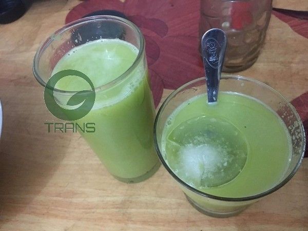 máy ép trái cây tốc độ chậm savtm je220, máy ép chậm savtm review, máy ép chậm savtm je-07, máy ép chậm savtm có tốt không,
