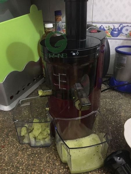 máy ép trái cây tốc độ chậm savtm je220, máy ép chậm savtm review, máy ép chậm savtm je-07, máy ép chậm savtm có tốt không,
