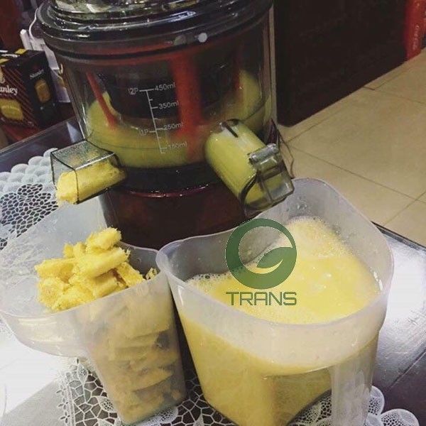 máy ép trái cây tốc độ chậm savtm je220, máy ép chậm savtm review, máy ép chậm savtm je-07, máy ép chậm savtm có tốt không,