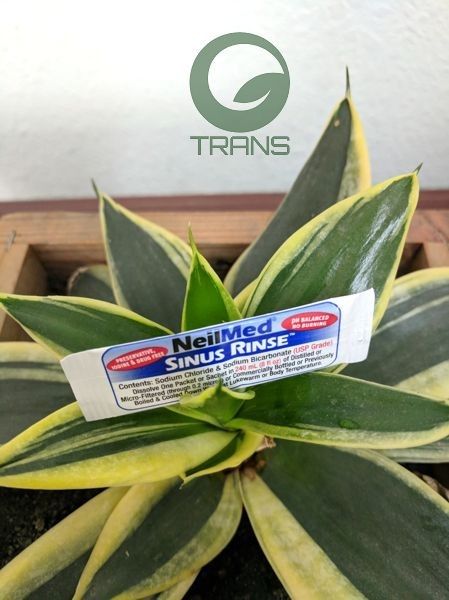 120 gói muối neilmed sinus rinse premixed