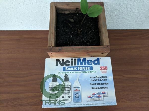 neilmed sinus rinse, neilmed sinus rinse, muối rửa mũi neilmed sinus rinse, neilmed sinus rinse 250 packets, neilmed vn, thuốc rửa mũi neilmed, neilmed kit 60, neilmed nasamist, nước muối sinh lý neilmed,