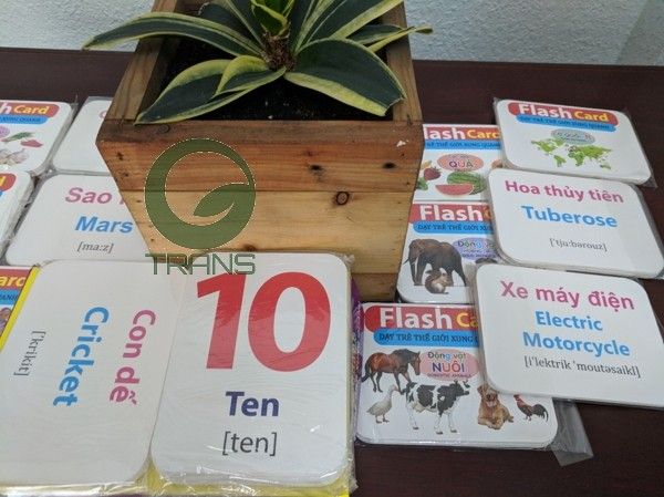 thẻ học thông minh khổng lồ 14 chủ để English, Thẻ học thông minh 14 chủ đề loại to kích thước 12*16, thẻ học thông minh khổng lồ 14 chủ để english, bộ thẻ học thông minh 12 chủ đề, thẻ học thông minh loại to, thẻ học thông minh bằng nhựa, thẻ học thông minh song ngữ 16 chủ đề flashcard, bộ thẻ học cho bé bằng nhựa, bộ thẻ học thông minh loại to, thẻ học thông minh cho bé từ 0-6 tuổi, thẻ học thông minh mua ở đâu, thẻ học thông minh loại to, thẻ học thông minh bằng nhựa, bộ thẻ học thông minh 12 chủ đề, thẻ học thông minh cho bé từ 0-6 tuổi, bộ thẻ học cho bé bằng nhựa, thẻ học thông minh bibo, thẻ flashcard chuẩn, thẻ học thông minh cỡ to, thẻ flashcard cho trẻ sơ sinh,