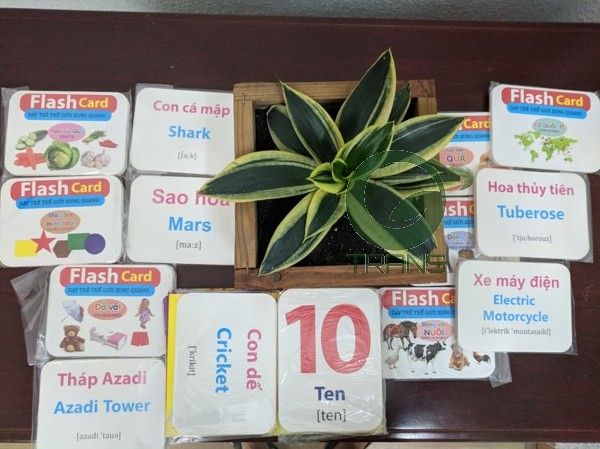 thẻ học thông minh khổng lồ 14 chủ để English, Thẻ học thông minh 14 chủ đề loại to kích thước 12*16, thẻ học thông minh khổng lồ 14 chủ để english, bộ thẻ học thông minh 12 chủ đề, thẻ học thông minh loại to, thẻ học thông minh bằng nhựa, thẻ học thông minh song ngữ 16 chủ đề flashcard, bộ thẻ học cho bé bằng nhựa, bộ thẻ học thông minh loại to, thẻ học thông minh cho bé từ 0-6 tuổi, thẻ học thông minh mua ở đâu, thẻ học thông minh loại to, thẻ học thông minh bằng nhựa, bộ thẻ học thông minh 12 chủ đề, thẻ học thông minh cho bé từ 0-6 tuổi, bộ thẻ học cho bé bằng nhựa, thẻ học thông minh bibo, thẻ flashcard chuẩn, thẻ học thông minh cỡ to, thẻ flashcard cho trẻ sơ sinh,