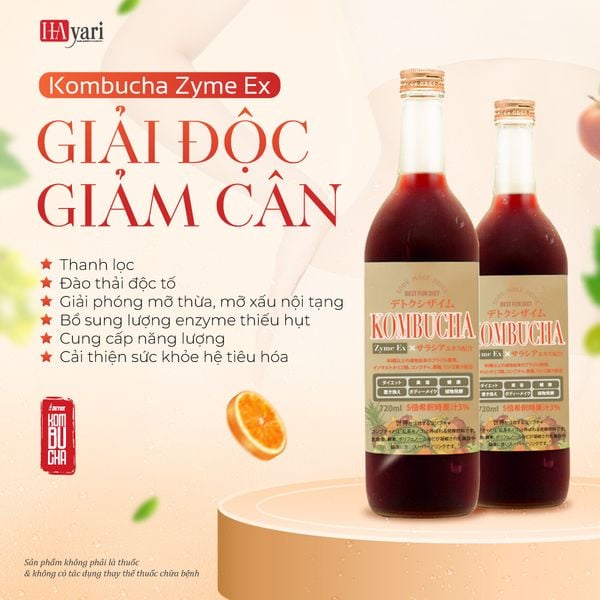 Nước uống thải độc tố Hayari Kombucha Zyme Ex 720ml (Hộp) – CHỢ TÌNH CỦA  BOO | MỸ PHẨM VÀ LÀM ĐẸP