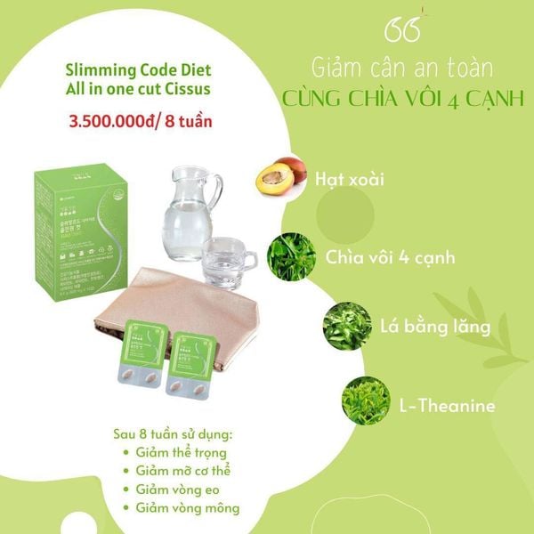 Thành phần Viên thuốc LG Slimming Code Diet All In One Cut Cissus