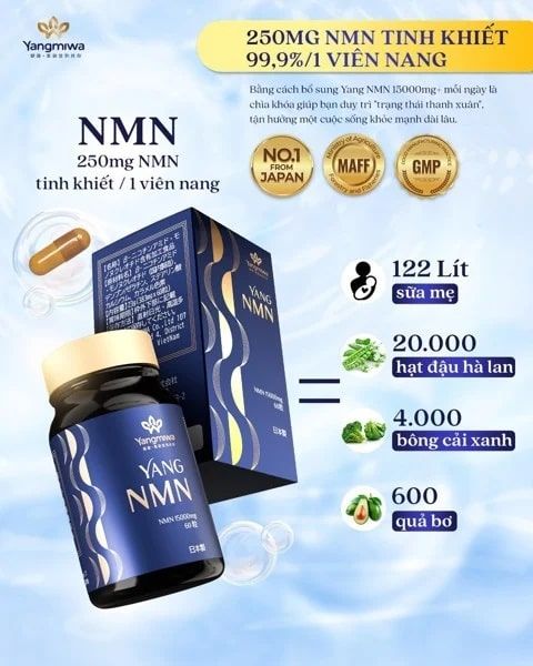 Thành phần viên uống trường thọ Yangmiwa Yang NMN 15000mg