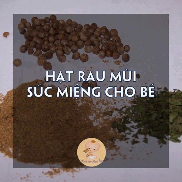 Hạt rau mùi súc miệng cho bé