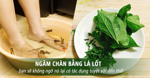 Điều trị cước chân tay bằng lá lốt