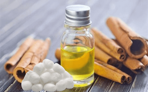 10 MẸO THÚ VỊ TỪ BÔNG VIÊN MERILYNN TRONG CUỘC SỐNG HẰNG NGÀY