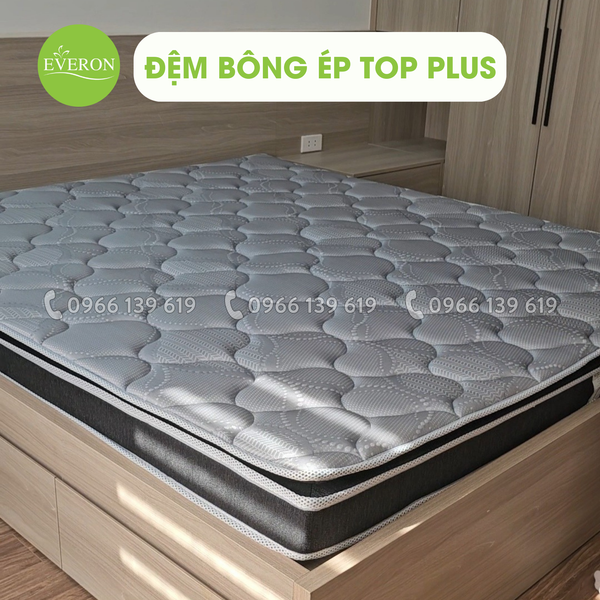 Bảng giá Đệm bông ép Top Plus Everon mới nhất năm 2025